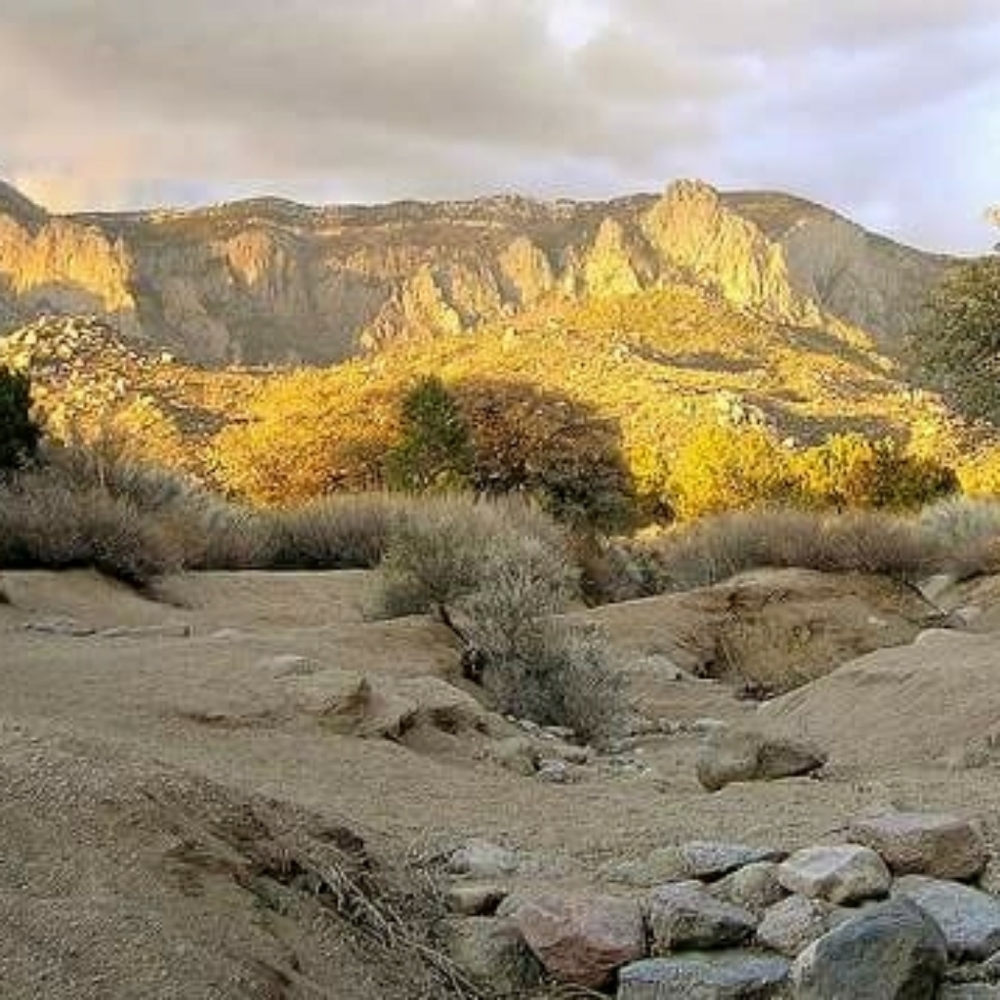 Double Layer Cloud Soft Cotton Buttondown Shirt - Picture 7 of 9